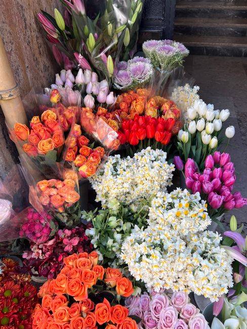 A vibrant display of fresh floral arrangements arranged against a rustic outdoor setting, showcasing a variety of flowers including orange and peach roses, pink tulips, purple lilies, white daffodils